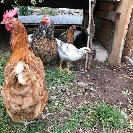 Huehnermuehle *